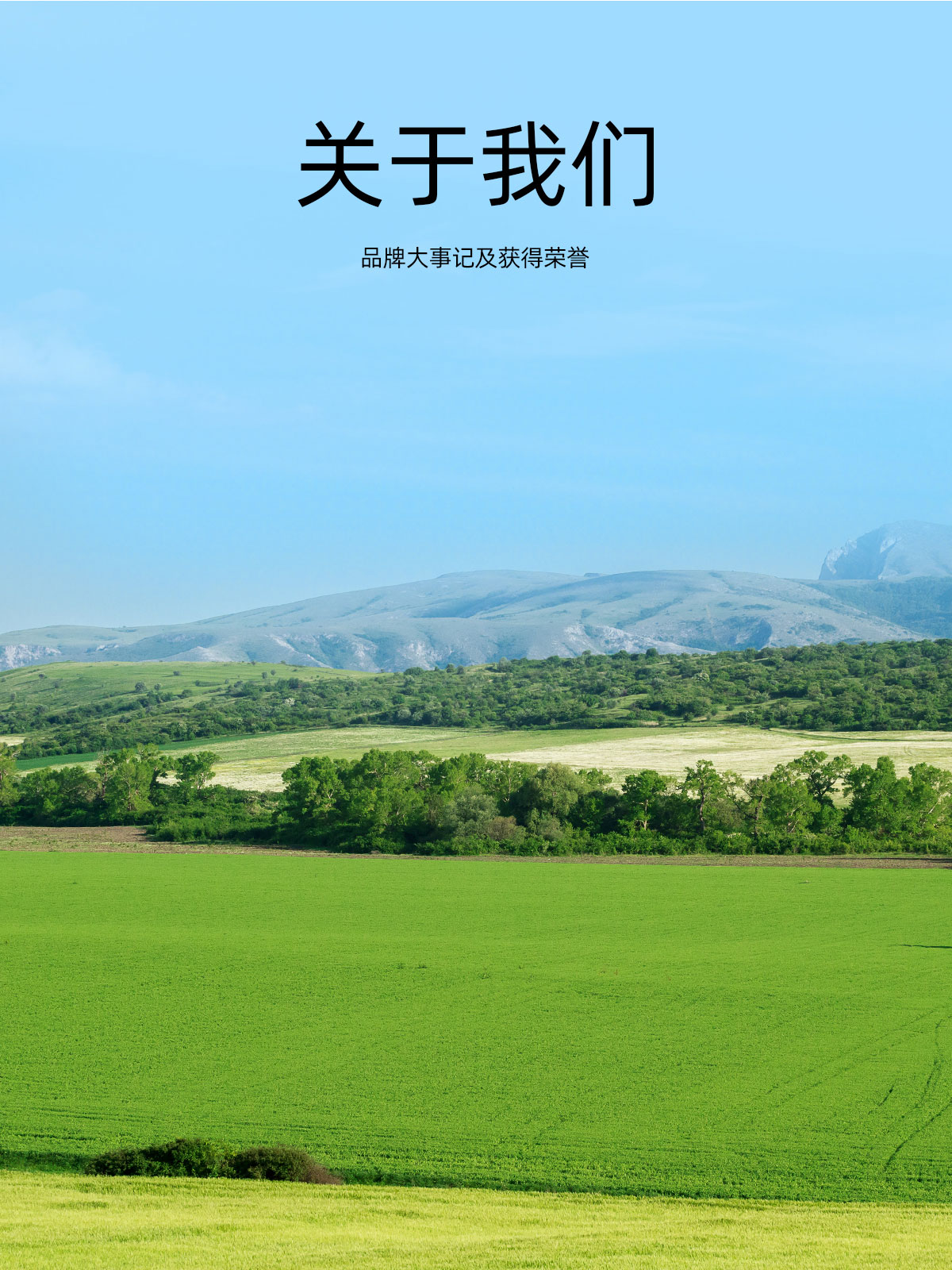 关于美村环境