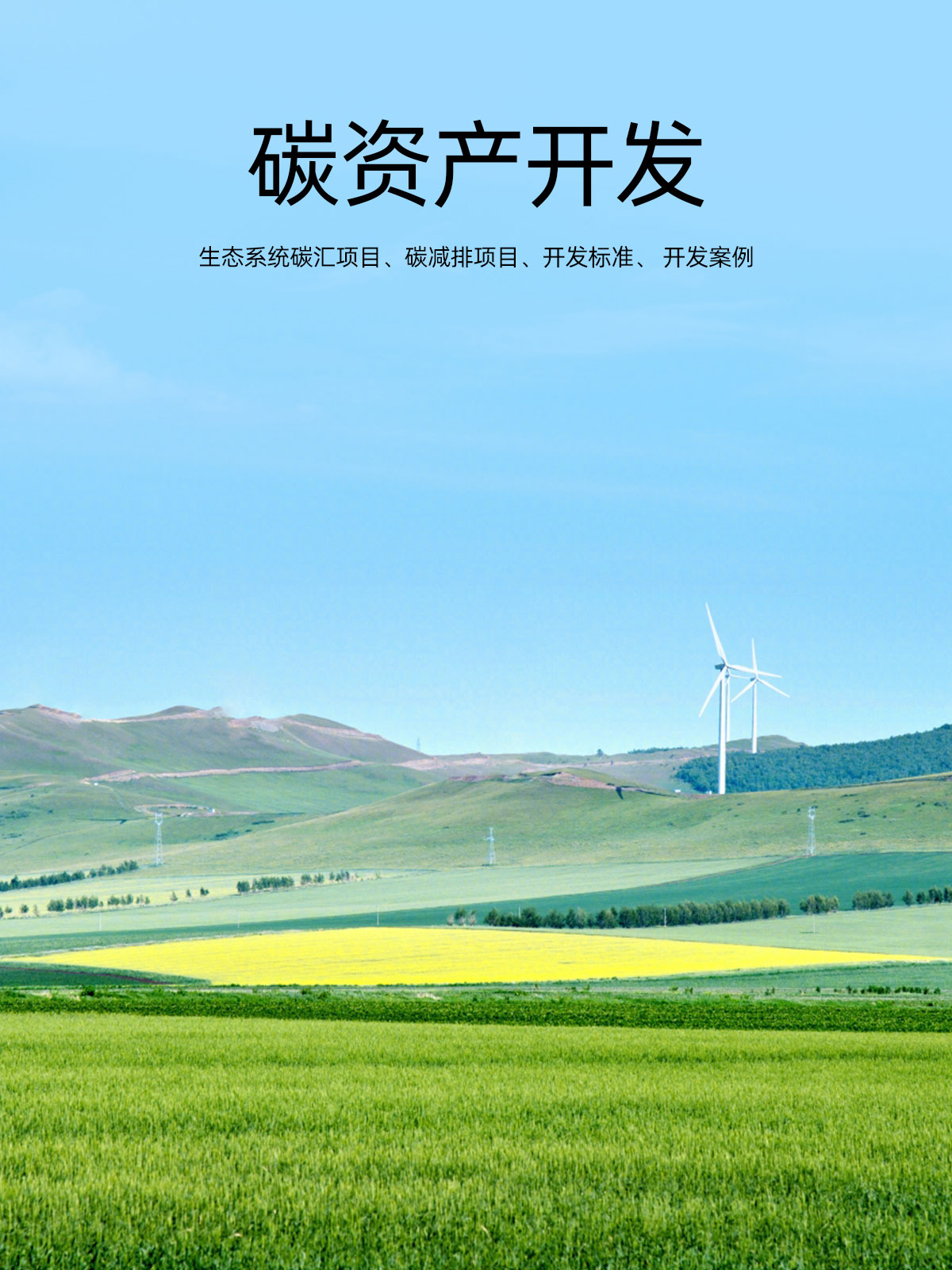 碳资产开发