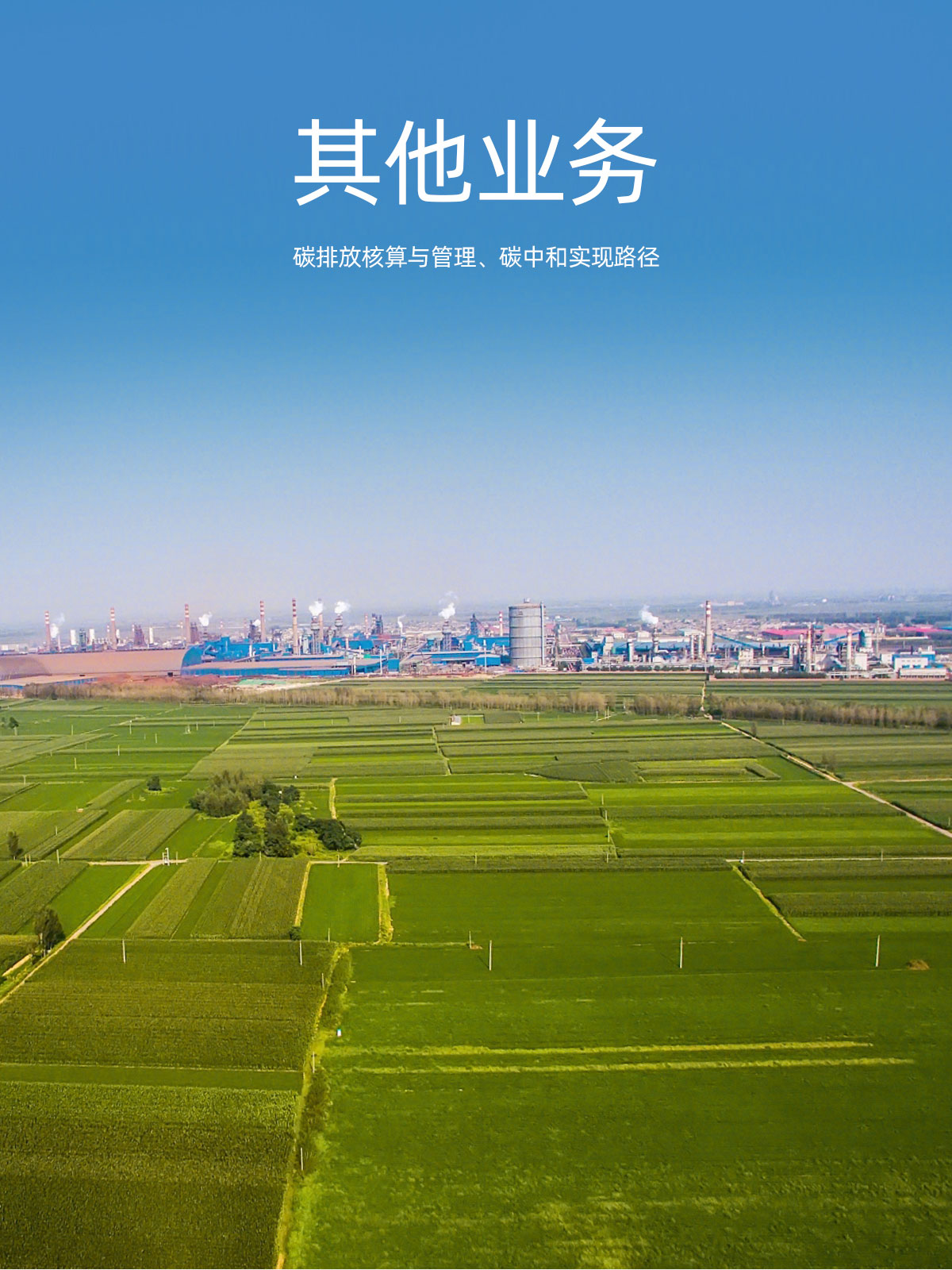 其他业务