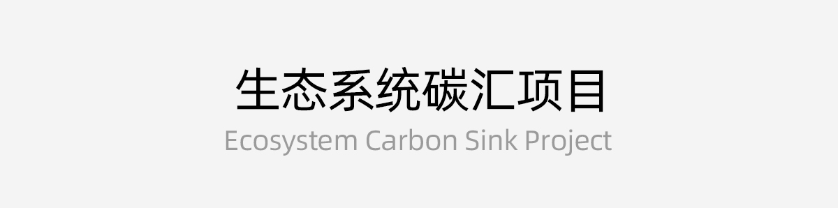 生态系统碳汇项目
