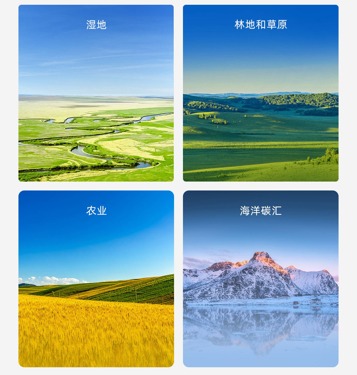 湿地,林地和草原,农业,海洋碳汇