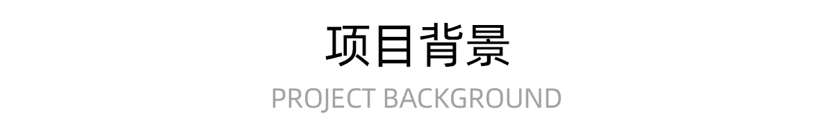 项目背景