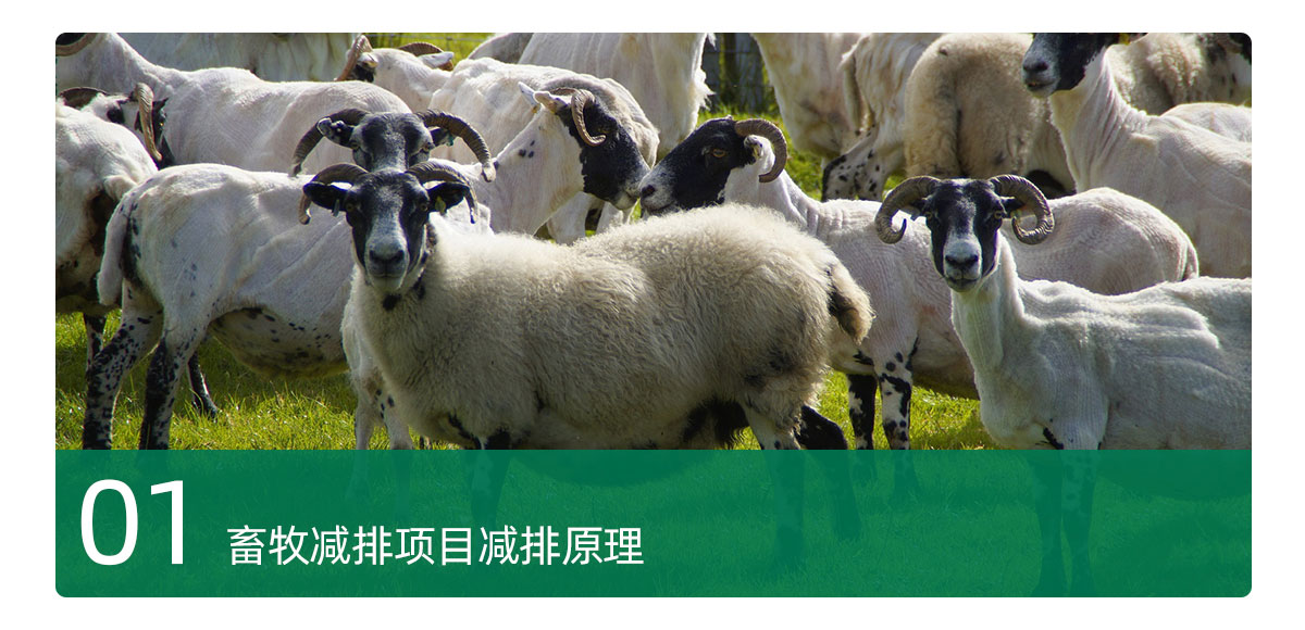 畜牧减排项目减排原理
