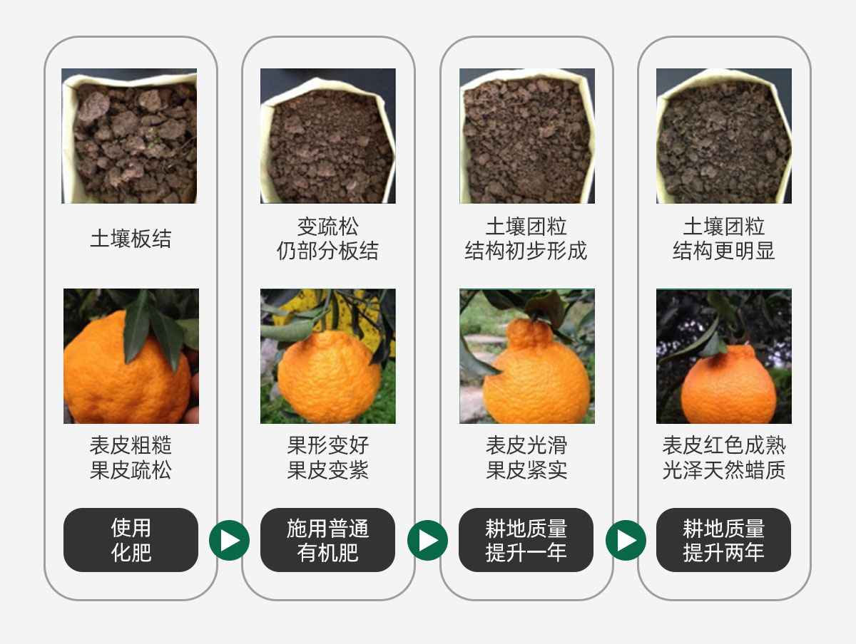 废弃物利用和县域耕地质量提升综合服务项目
